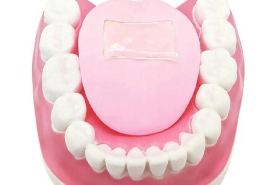 model of tongue and teeth with small white transparent film on top